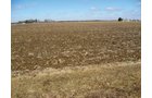 Property photo 29 - 127 Acres Offered in 4 Tracts